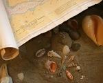 Братство юных робинзонов
