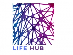 Создай собственный онлайн-магазин. LifeHub