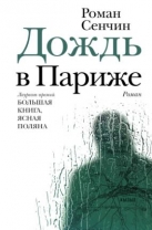Дождь в Париже