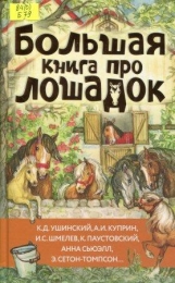 Большая книга про лошадок
