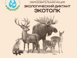 ЭкоТолк