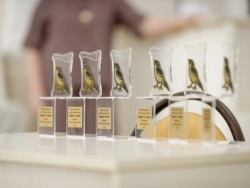 Итоги отбора во II тур Областного фестиваля детской поэзии «Щегол»