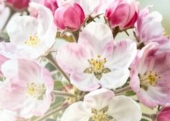 Майский семейный выходной