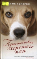 Путешествие хорошего пса